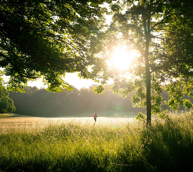 bewegen-in-natuur